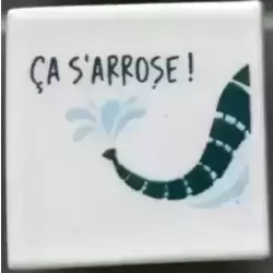 Ca S'Arrose