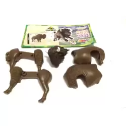 Bison