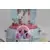 Disney Sets - Cinderella Royal Carriage