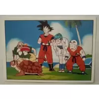 Tortue Géniale , Son Goku , Krillin , Bulma , Son Gohan