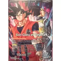 San Goku et Vegeta / Vegetto SSB, guerrier étincelant