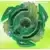 Victory Valkyrie Boost Variable (Rich Green Version)