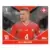 UEFA Euro 2024 - Nico Elvedi