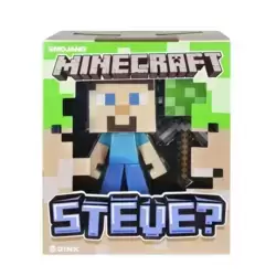 Steve