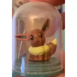 Évoli Socle Bleu
