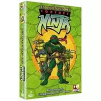 Les aventures des Tortues Ninja: Intégrale, saison 1