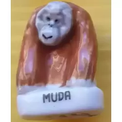 Muda