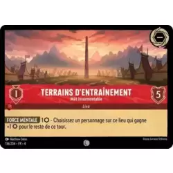 Terrains d'Entrainement - Mât Insurmontable