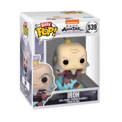 Avatar The Last Airbender - Iroh