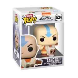 Avatar The Last Airbender -  Aang With Momo