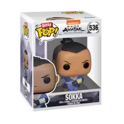 Avatar The Last Airbender - Sokka