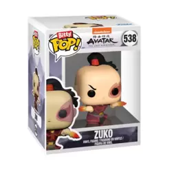 Avatar The Last Airbender - Zuko