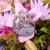 Loungefly and Boxlunch Pins - Sleeping Beauty 65th Anniversary Floral Scene 3\