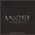 Angel - Live Fast,Die Never