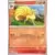 Feunard Reverse
