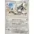 [COPY] Aggron Reverse
