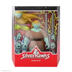 Silverhawks - Windhammer