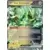 Twilight Mascarade - TWMEN - Iron Thorns EX