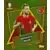 UEFA Euro 2024 - Bernardo Silva