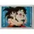 Dragon Ball Z - 2008 - Image n°22