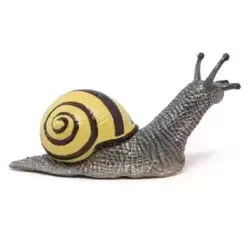 Escargot des Bois