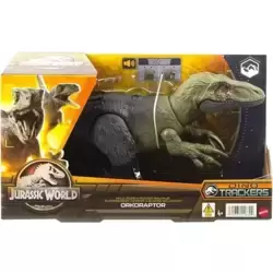 Orkoraptor
