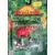 The Lion King (Mattel) - I Just Can\'t Wait To Be King Friends