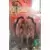 Video Games Kotobukiya - Final Fantasy VIII - Guardian Force Ifrit 02 Art Fx