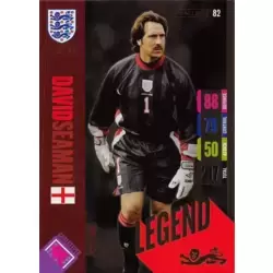 David Seaman - Legend