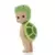 Secret Turtle