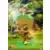 Groot (Terma Bird on his head)