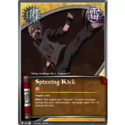 Spinning Kick