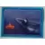 Sticker n°11