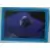 Finding Nemo - Sticker n°12