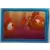 Finding Nemo - Sticker n°14