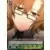 Steins;Gate - \