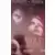 Wolf VHS