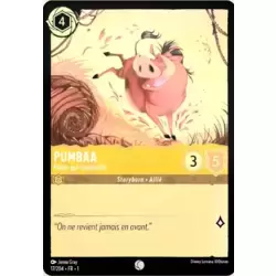 Pumbaa poète qui sommeille - Brillante