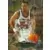 Damon Stoudamire MS