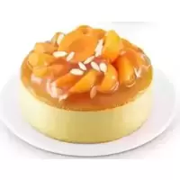 Almond & Apricot Cheesecake