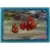 Finding Nemo - Sticker n°16
