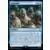 Assassin\'s Creed - Anonymat