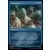 Assassin\'s Creed - Anonymat