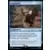 Assassin\'s Creed - Propagande
