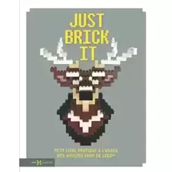 Just brick it: Petit livre pratique à l'usage des adultes fans de Lego