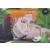 Series SR - Pain-Tendo