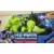 He-Man and the Masters of the Universe Power Attack Skeletor Battle Bones