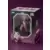 Bishoujo Kotobukiya - Darkstalkers - Lilith Limited Edition