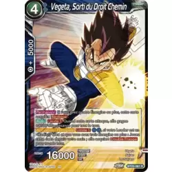 Vegeta, Sorti du Droit Chemin