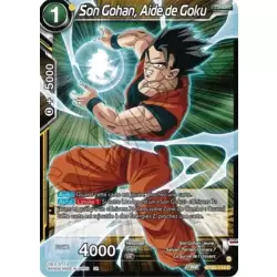 Son Gohan, Aide de Goku